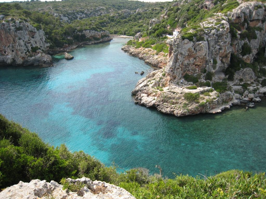 Calescoves from the top
