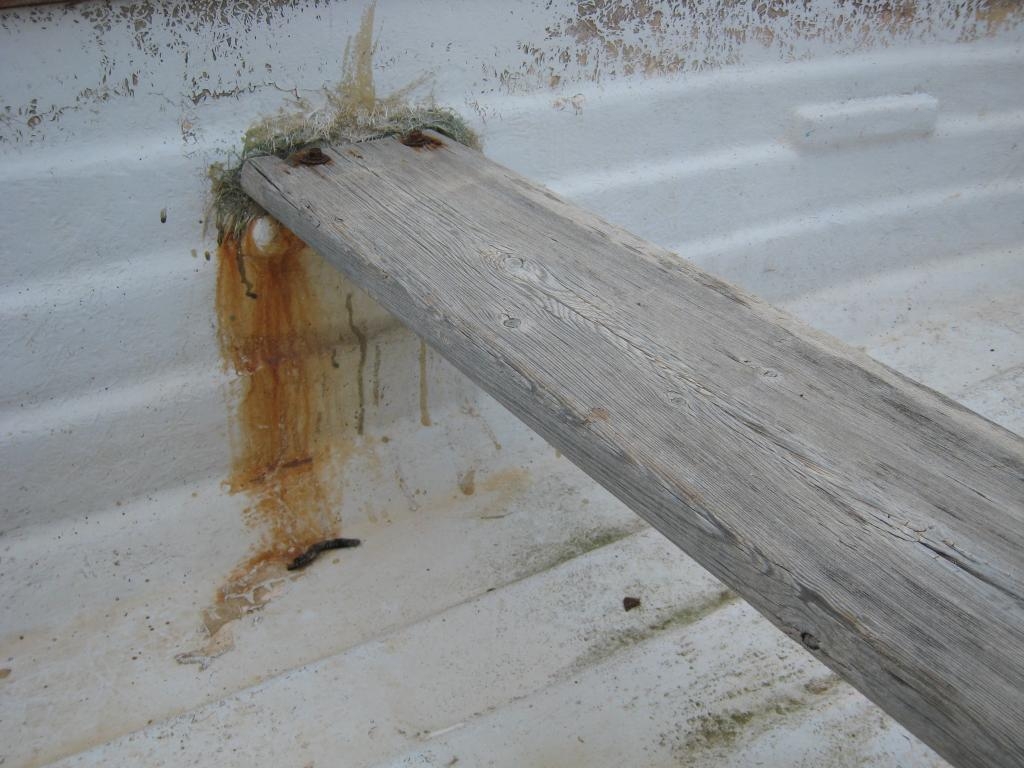 Old boat