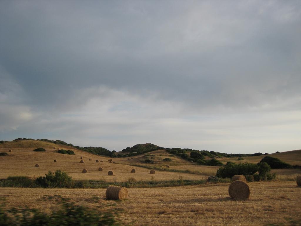 Coming back in the evening