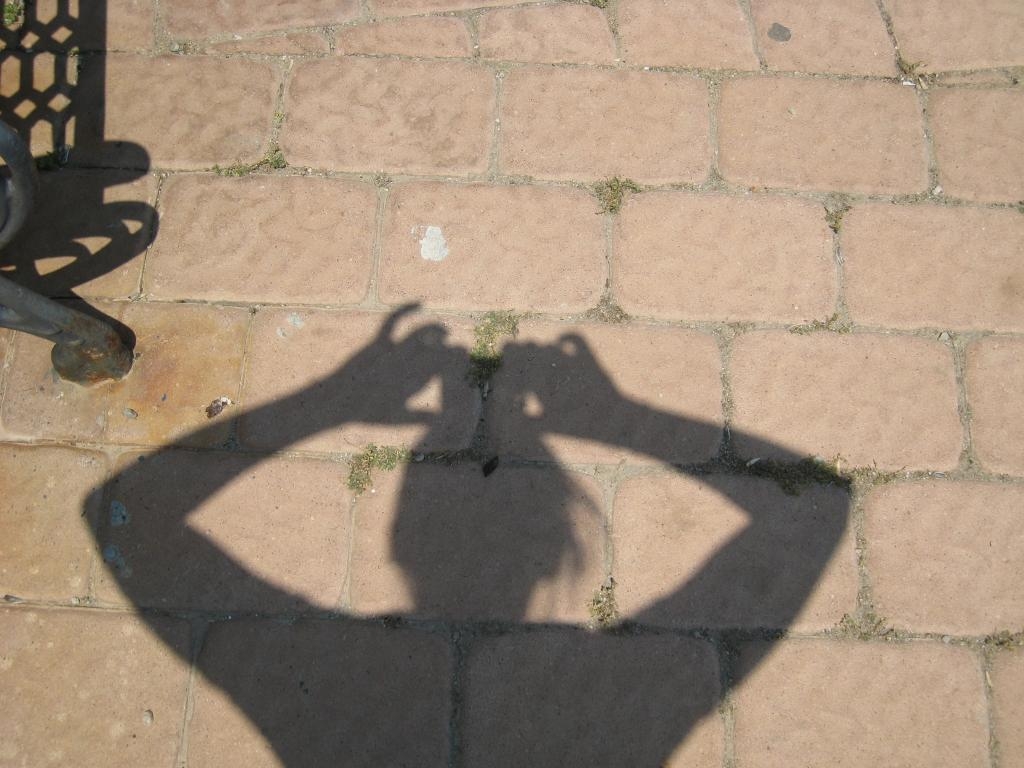 My shadow