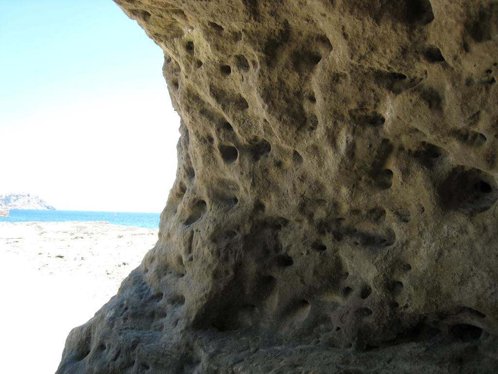From inside the cave
