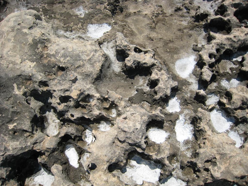 Salt deposits