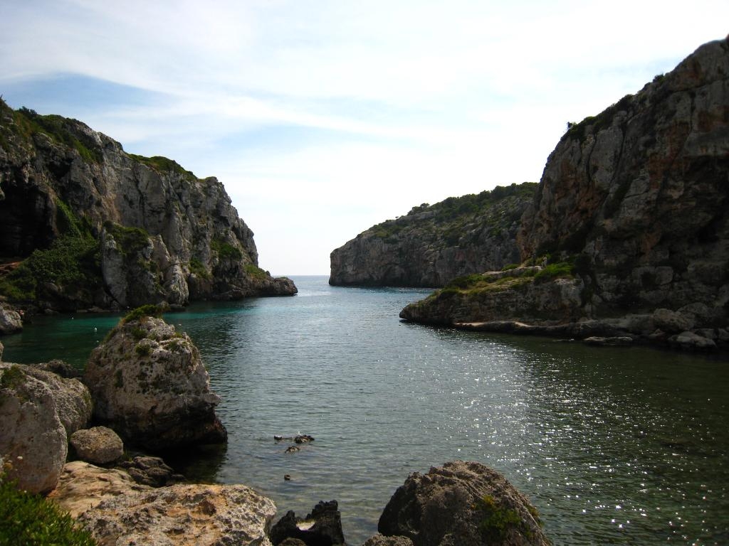 Calescoves
