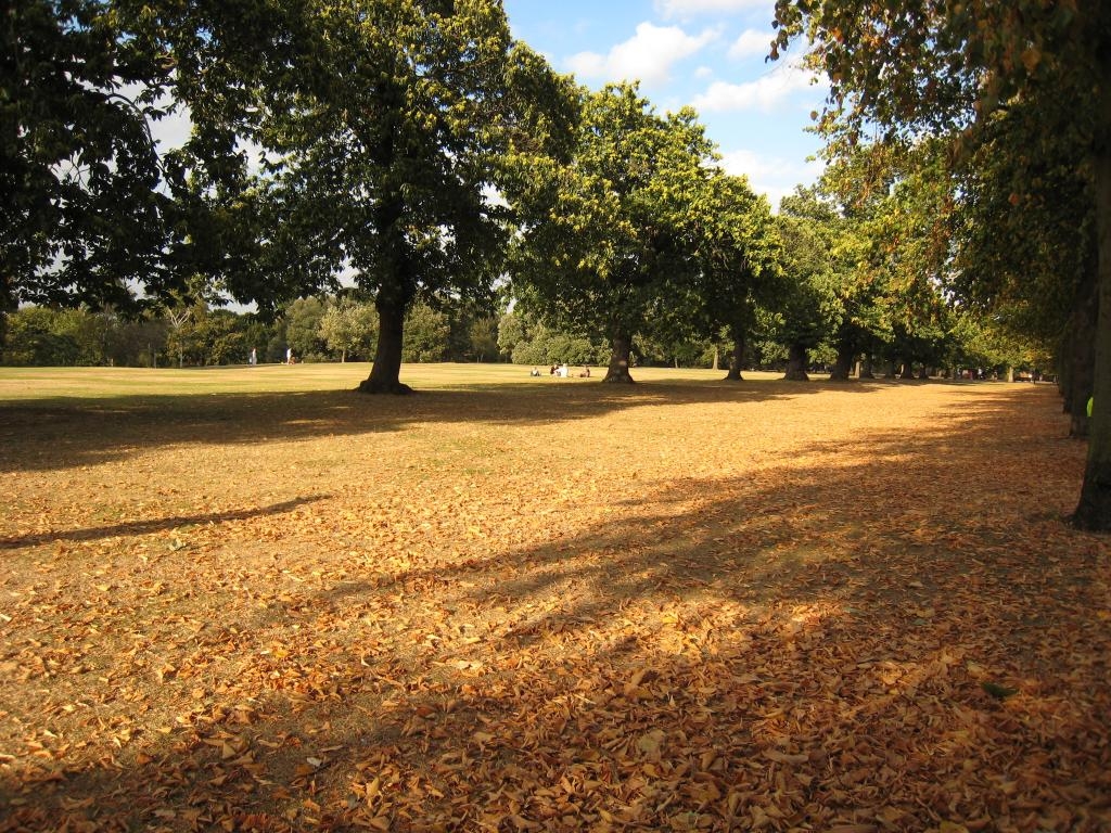 Autumn at Greenwich