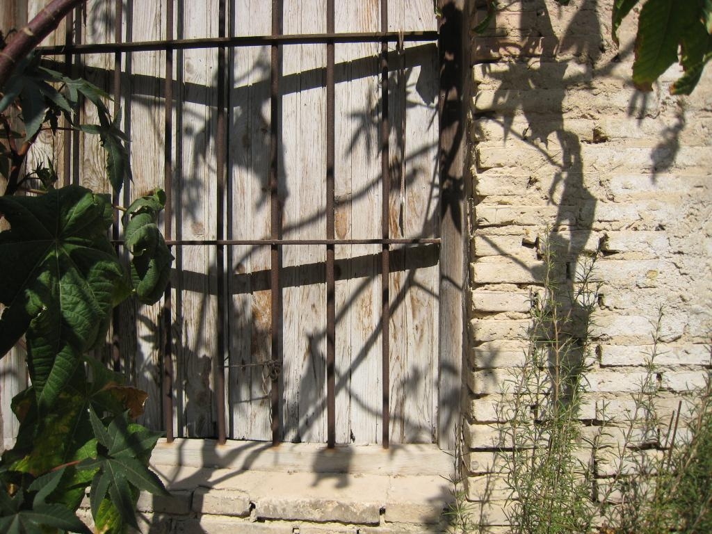 Shadows game