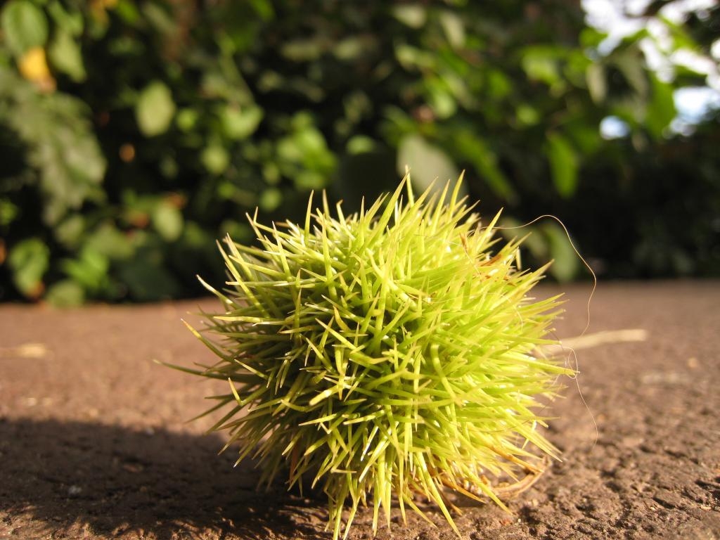 Everybody likes spikes