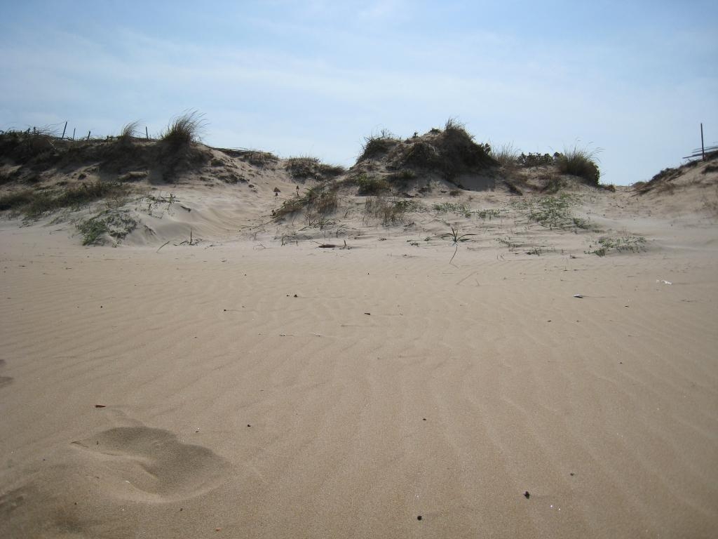 Sand dunes