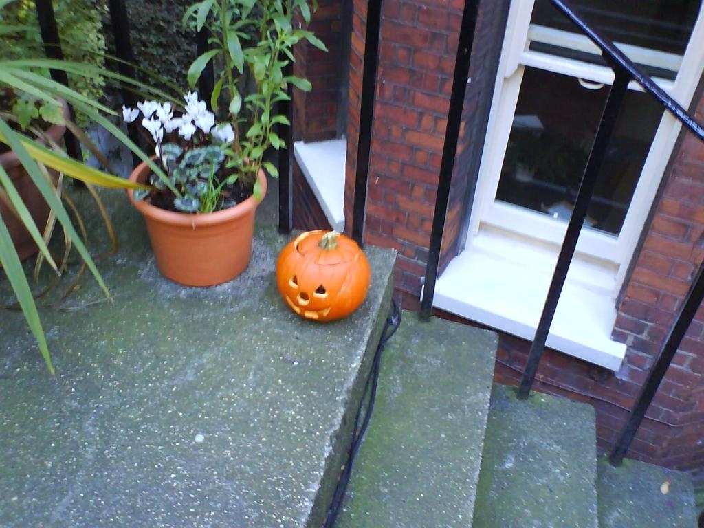 Not so spooky pumpkin