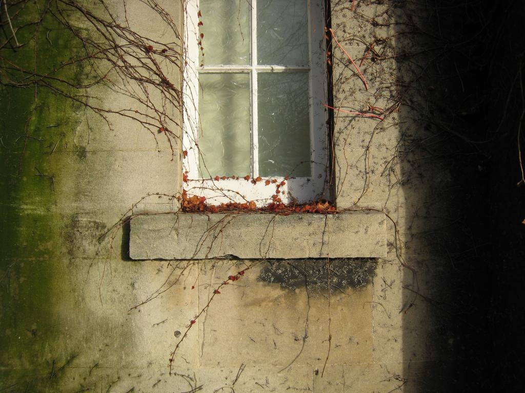 Quite scary window