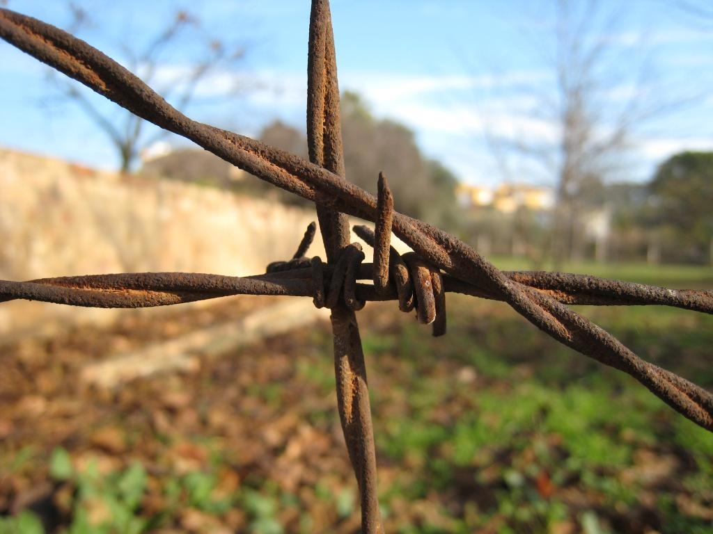 Knot