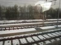 Brussels