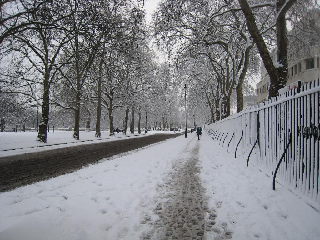 Birdcage Walk (2)