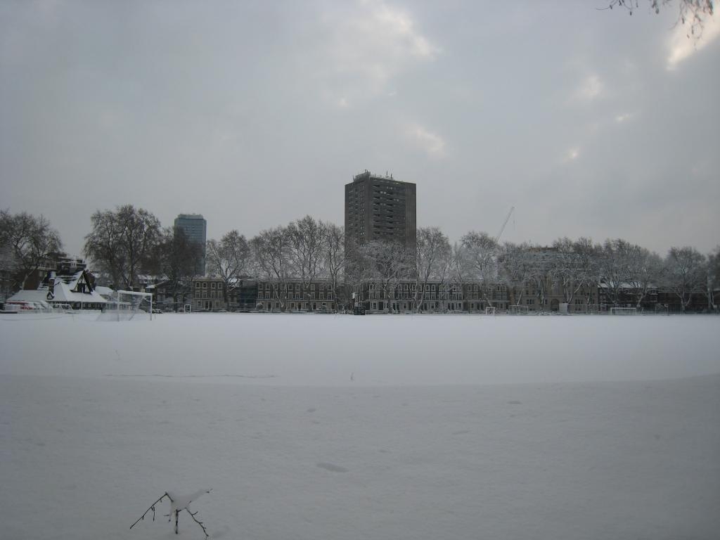Vincent Square green