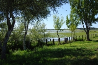 Coto de Doñana