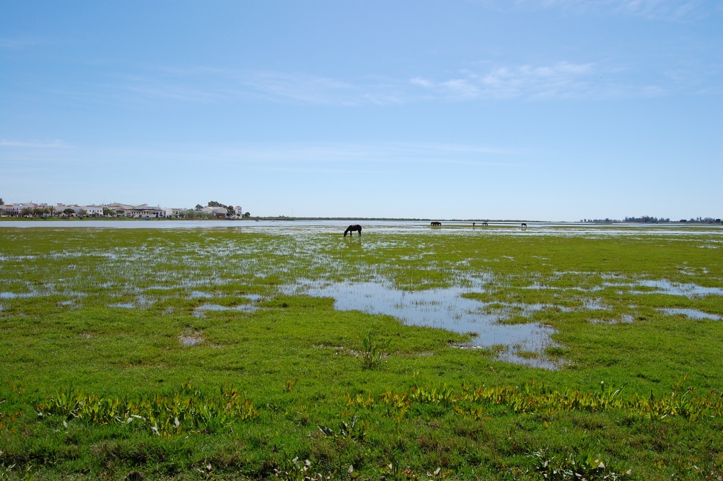 DSC_1828.JPG