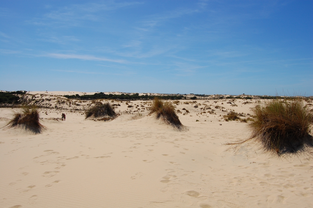DSC_1934.JPG