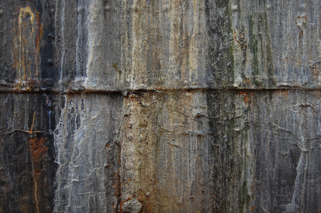 DSC_3330.JPG