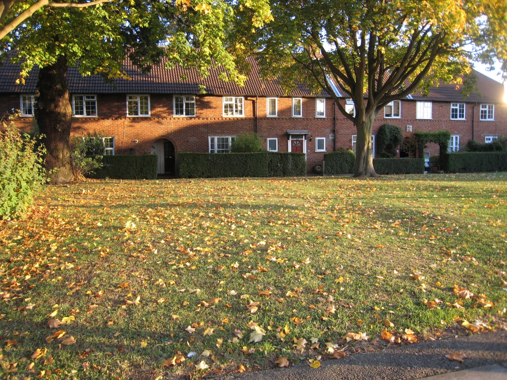 Difference between adderall and metadate