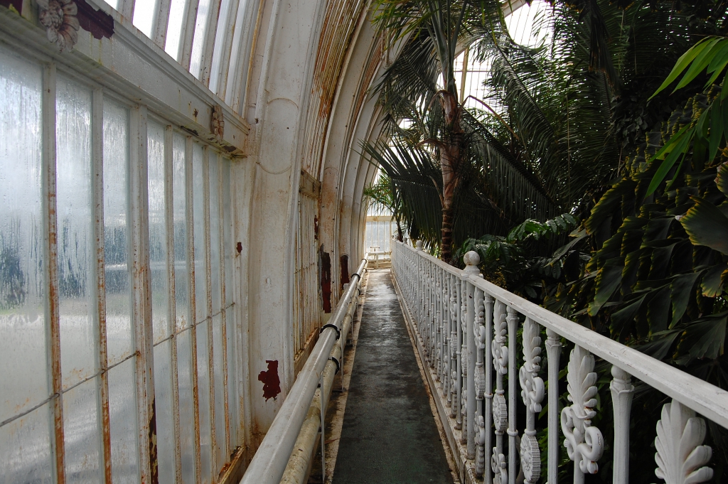 DSC_4329.JPG