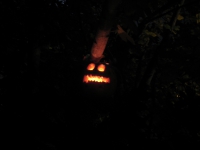 Halloween @ St. James's Park