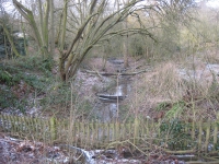 Frozen Hampstead Heath