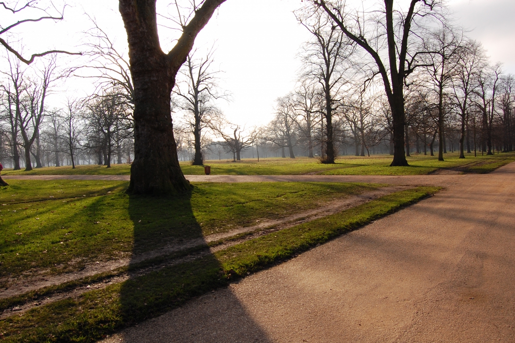 (Hazy) Morning sun