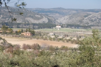 Alfafara