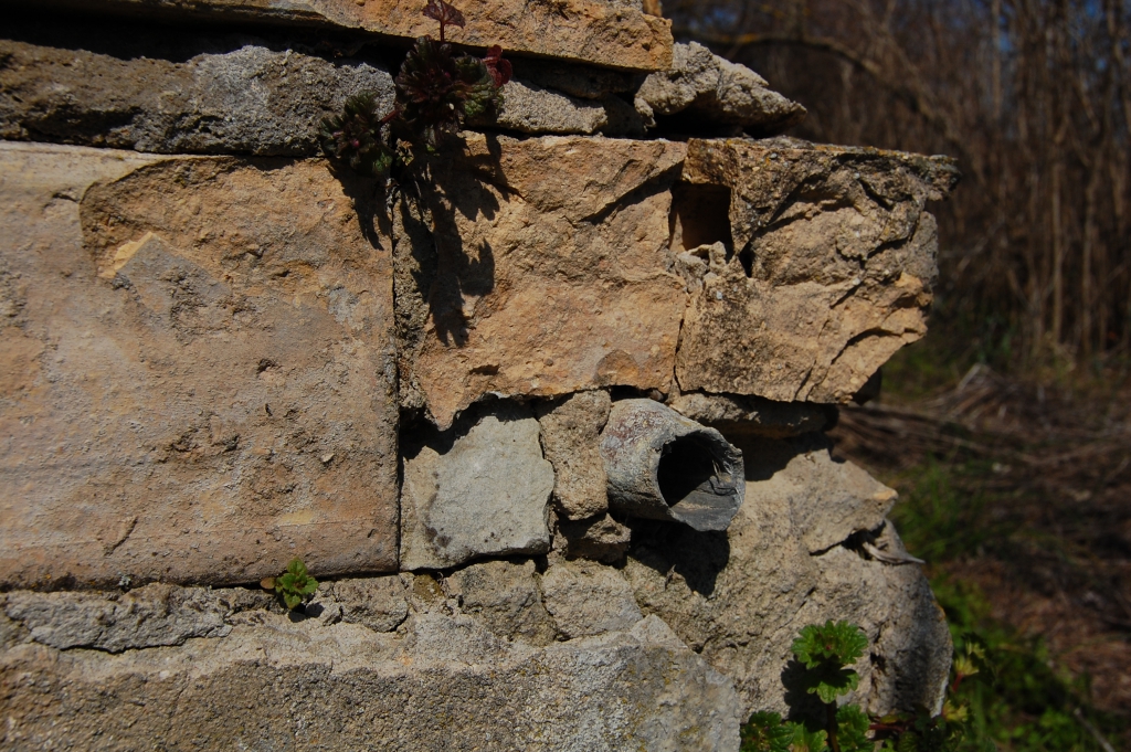 DSC_5276.JPG