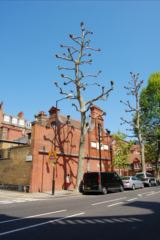 Funny trees