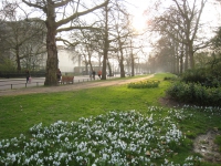 Spring time!! 25th March 2011