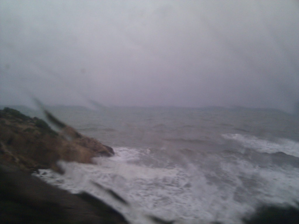 IMG_20111104_091401.jpg