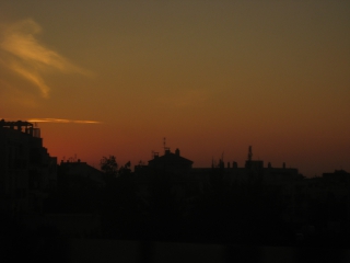 IMG_8906.JPG