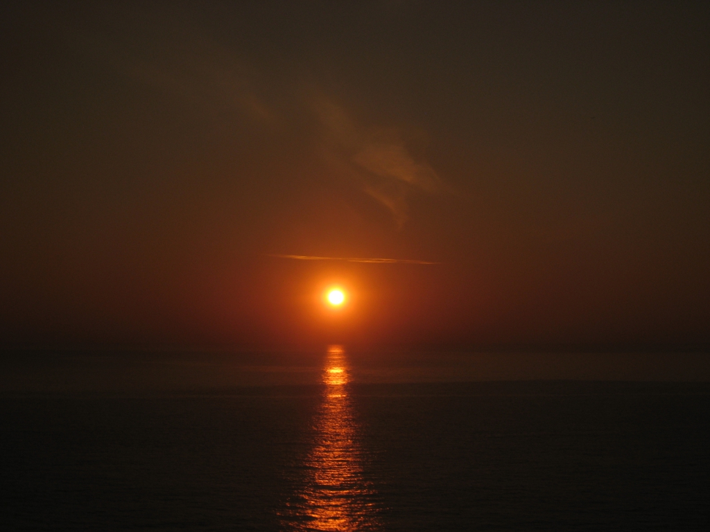 IMG_8935.JPG