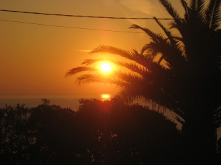 IMG_8942.JPG